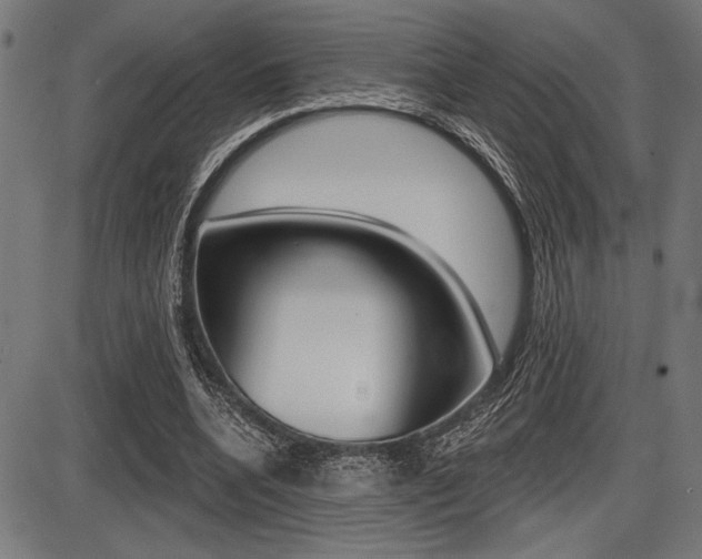 X0000087700536200705040853