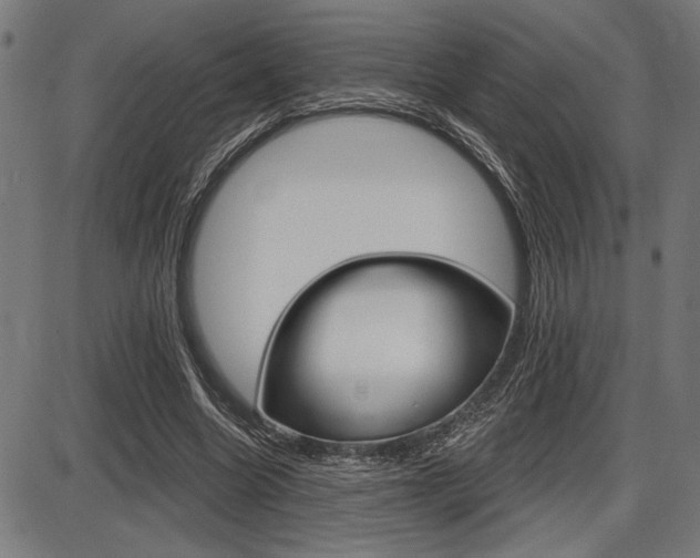 X0000087700538200705040853