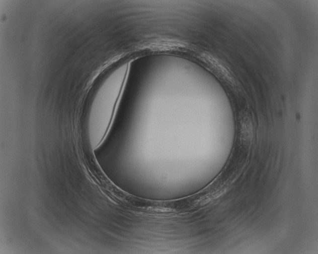 X0000087700539200705040853