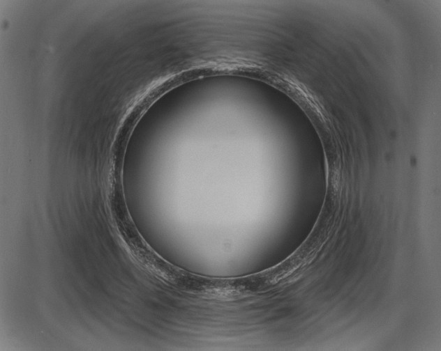 X0000087700540200705040854