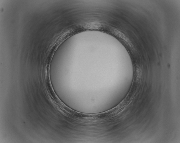 X0000087700541200705040854