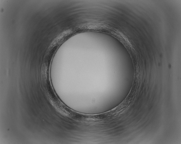 X0000087700542200705040854