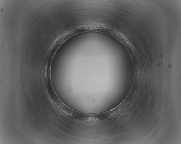 X0000087700543200705040854
