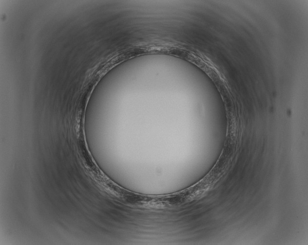 X0000087700545200705040854