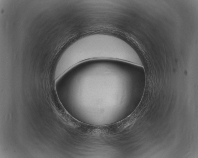 X0000087700546200705040854