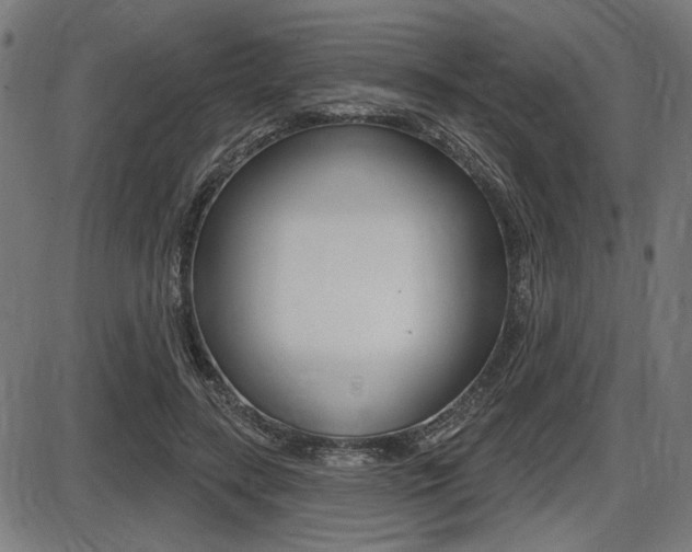 X0000087700547200705040854