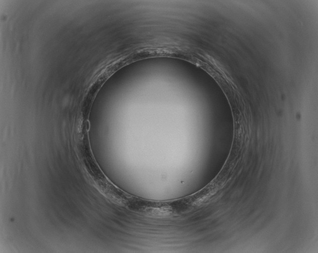X0000087700548200705040854