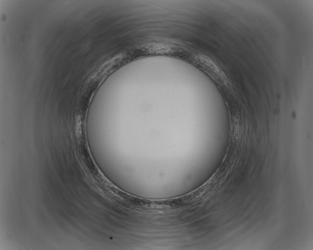 X0000087700549200705040854