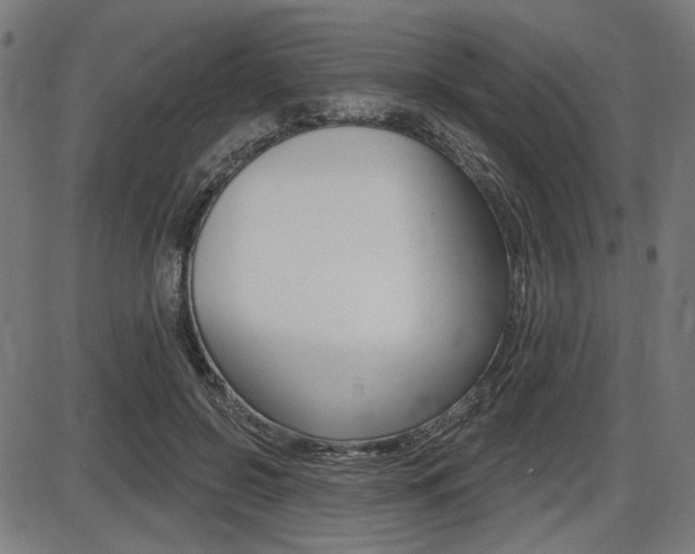 X0000087700550200705040854