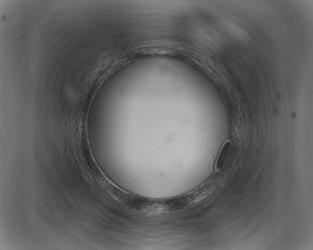 X0000087700551200705040854