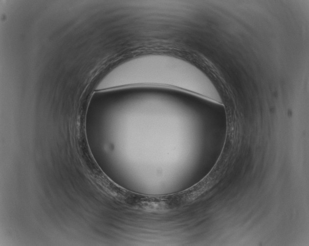 X0000087700552200705040854