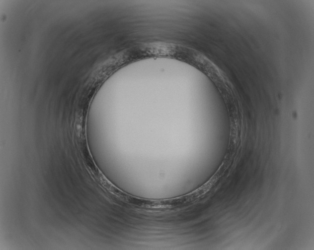 X0000087700553200705040854