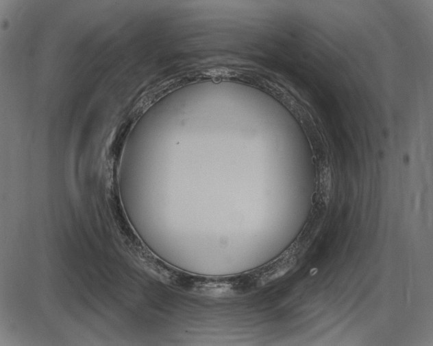 X0000087700554200705040854