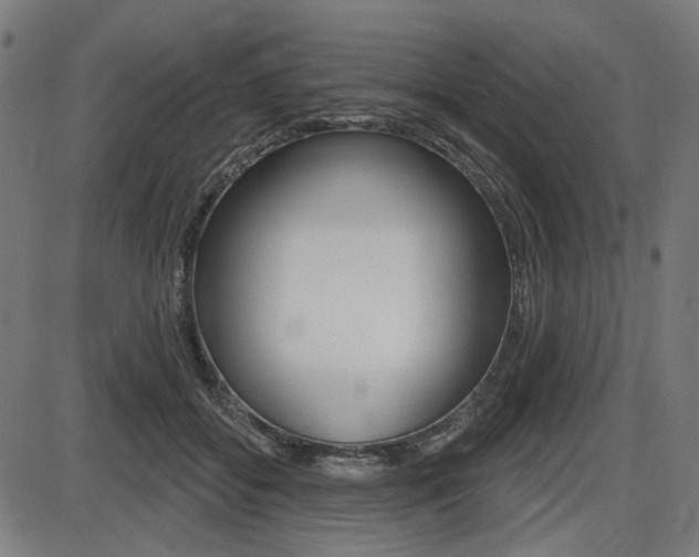X0000087700556200705040854