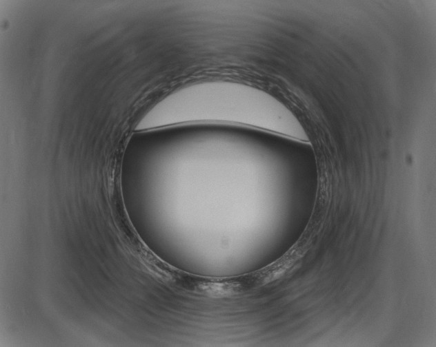 X0000087700558200705040854