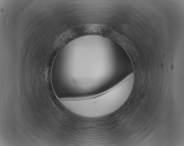 X0000087700560200705040854