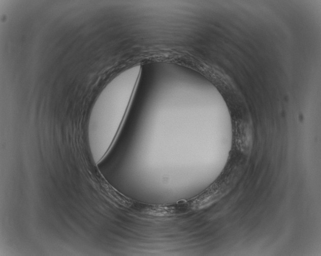 X0000087700563200705040854