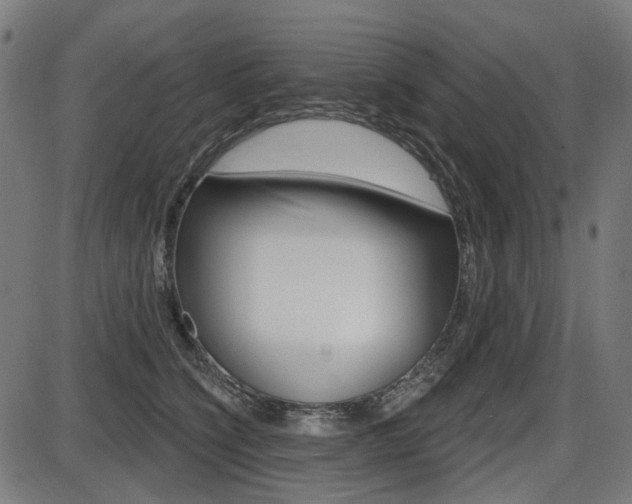 X0000087700564200705040854