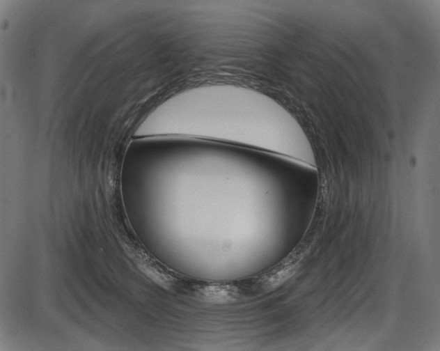 X0000087700566200705040854