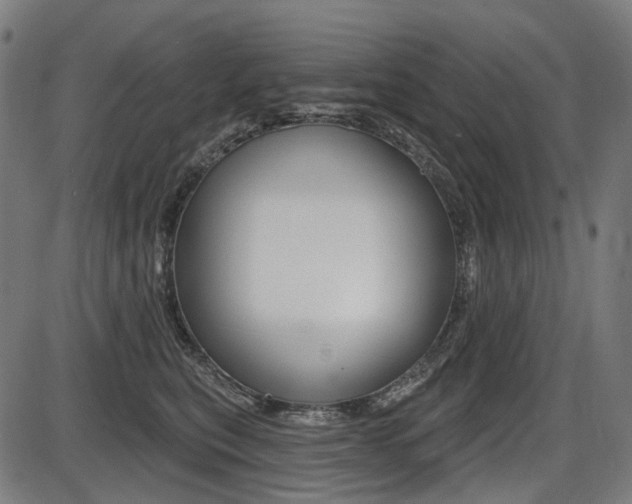 X0000087700567200705040854
