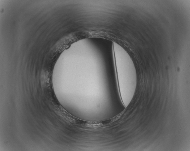 X0000087700571200705040854