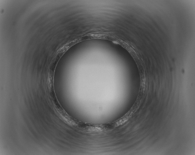 X0000087700572200705040854