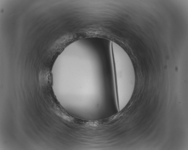 X0000087700574200705040854
