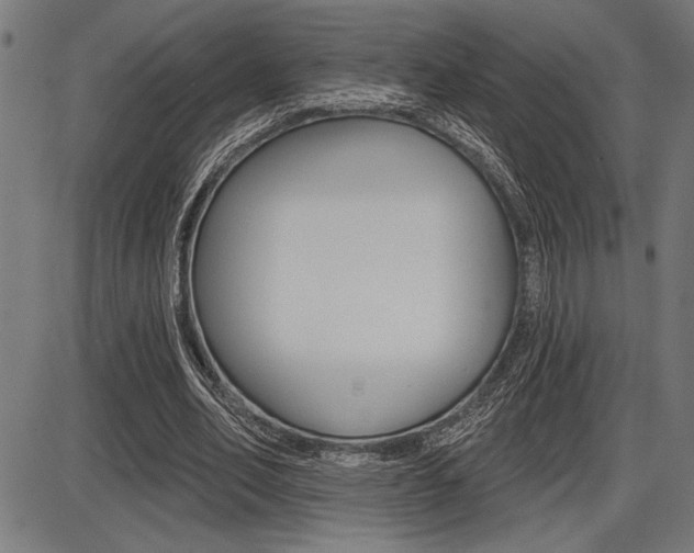 X0000087700582200705040853