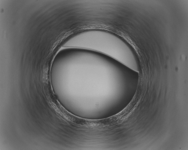 X0000087700585200705040853