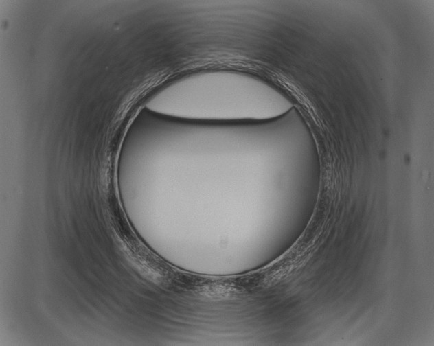 X0000087700586200705040853