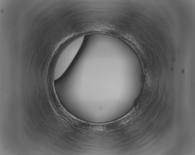 X0000087700587200705040853
