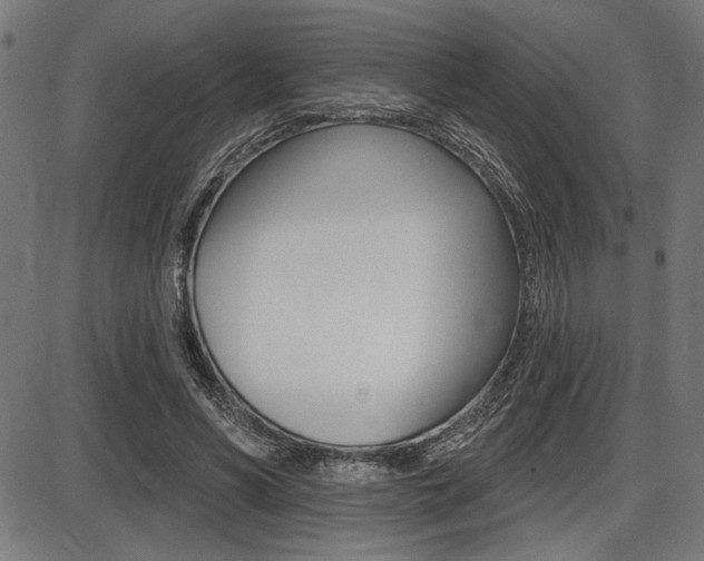 X0000087700590200705040853