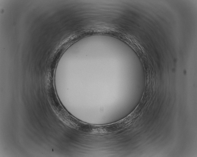 X0000087700591200705040853