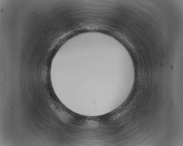 X0000087700592200705040853