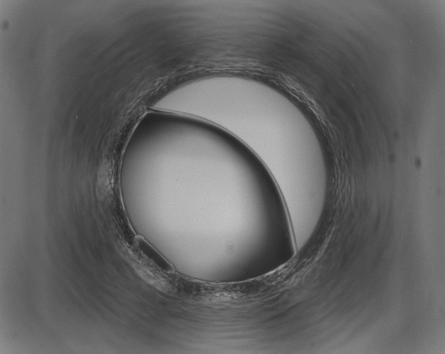 X0000087700593200705040853