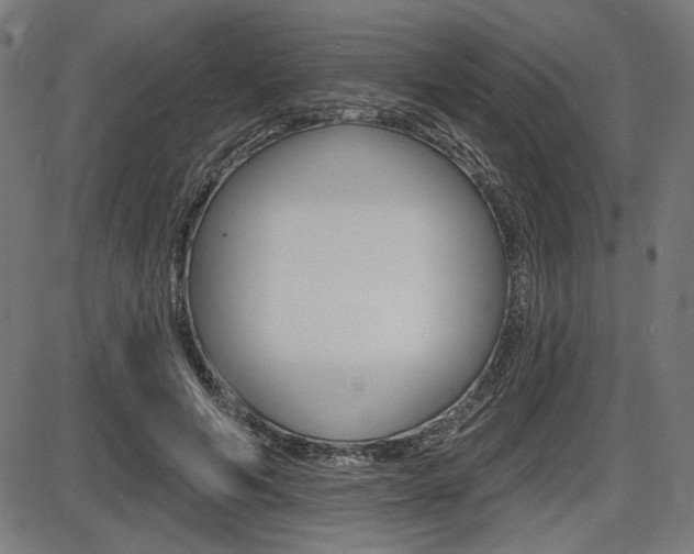 X0000087700594200705040853