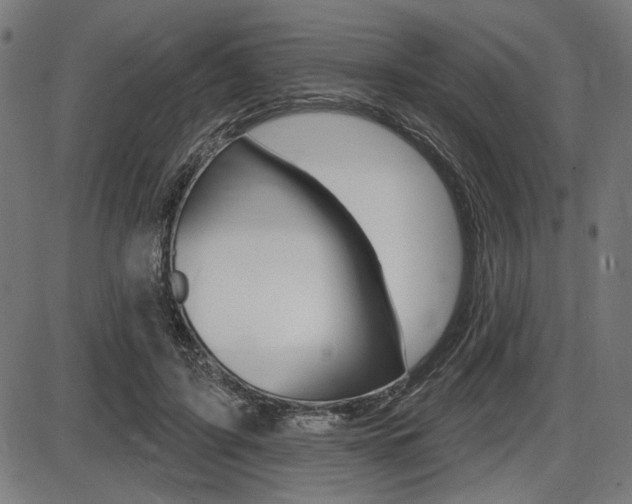 X0000087700595200705040853