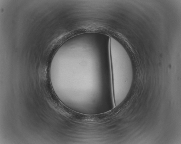 X0000087700596200705040853