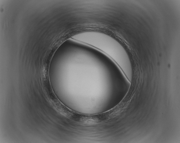 X0000087700597200705040853