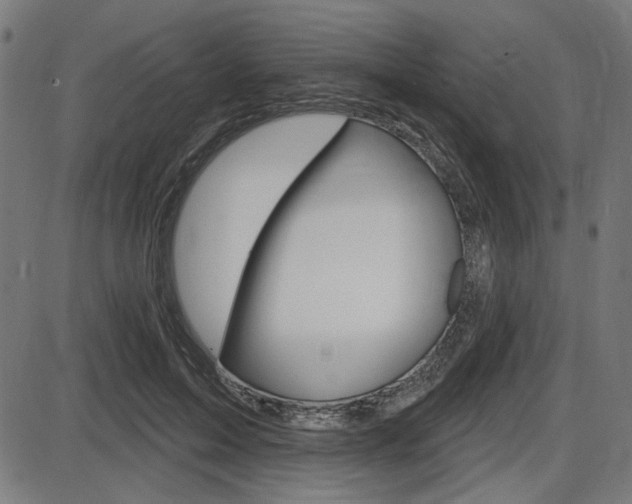 X0000087700599200705040853