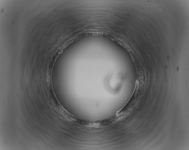 X0000087700609200705040853
