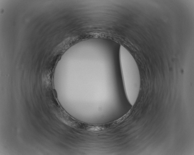 X0000087700611200705040853