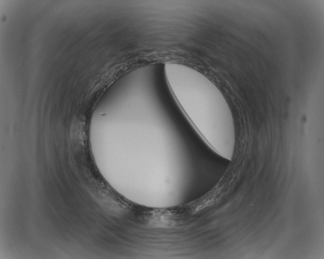 X0000087700612200705040853
