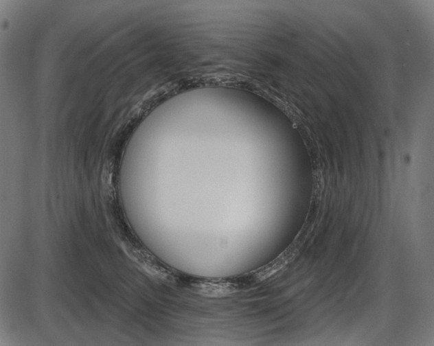 X0000087700615200705040853