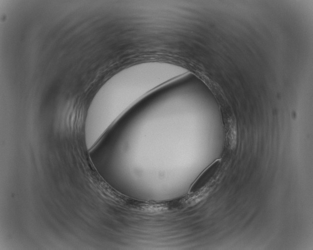 X0000087700619200705040853