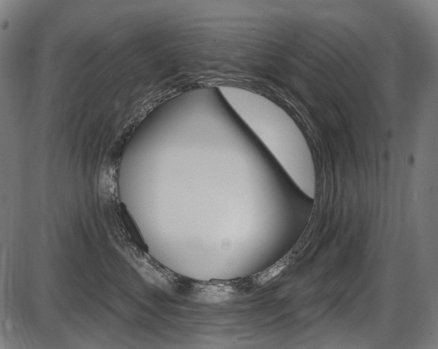 X0000087700621200705040853