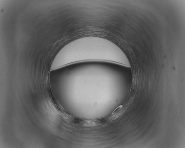 X0000087700623200705040853