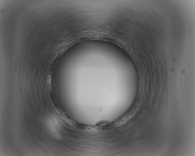 X0000087700624200705040853