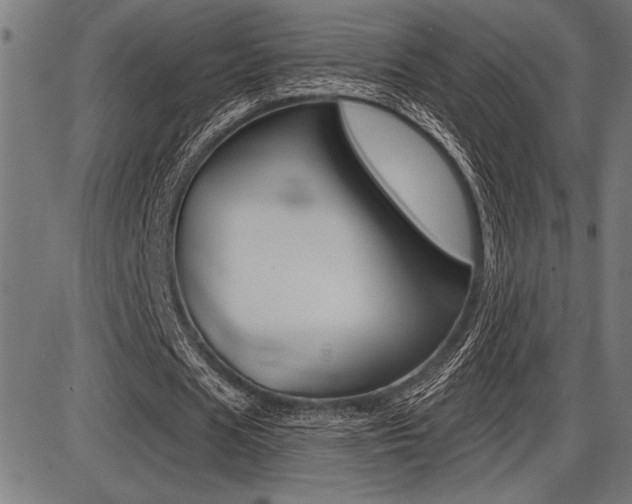X0000087700625200705040852
