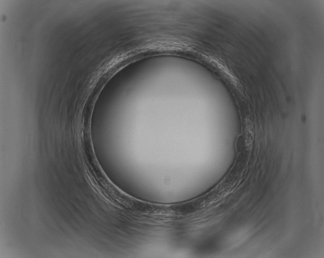 X0000087700631200705040852